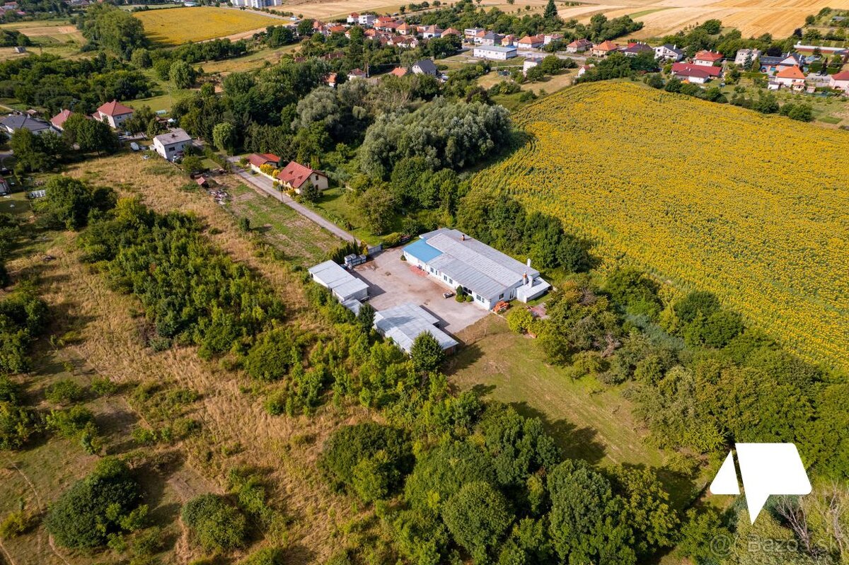 Predaj - polyfunkčný objekt - Zlaté Moravce - Prílepy - 5