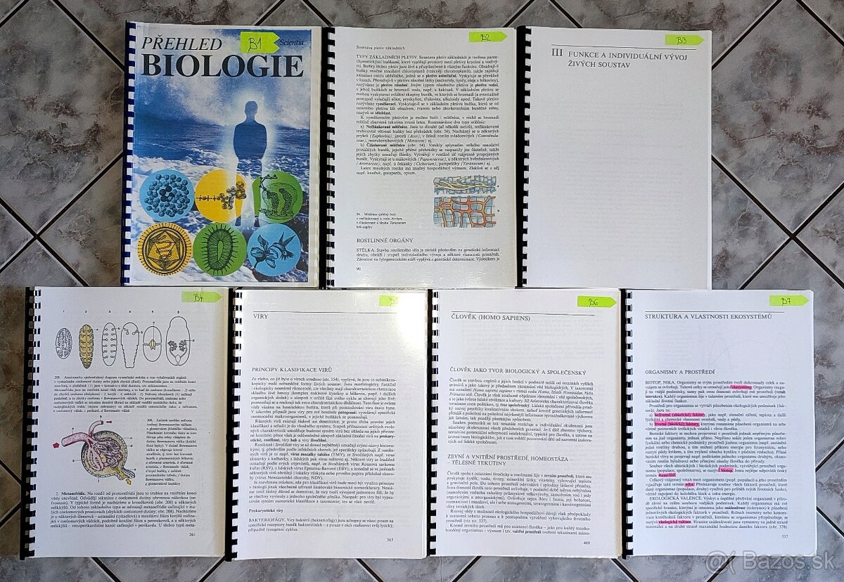 Prijímačky na LF do Čiech - 5