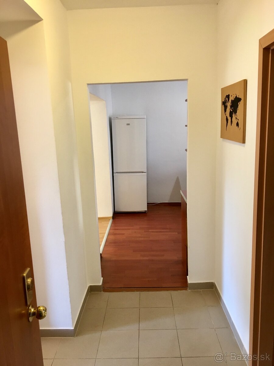 2-izbovy byt centrum - 5