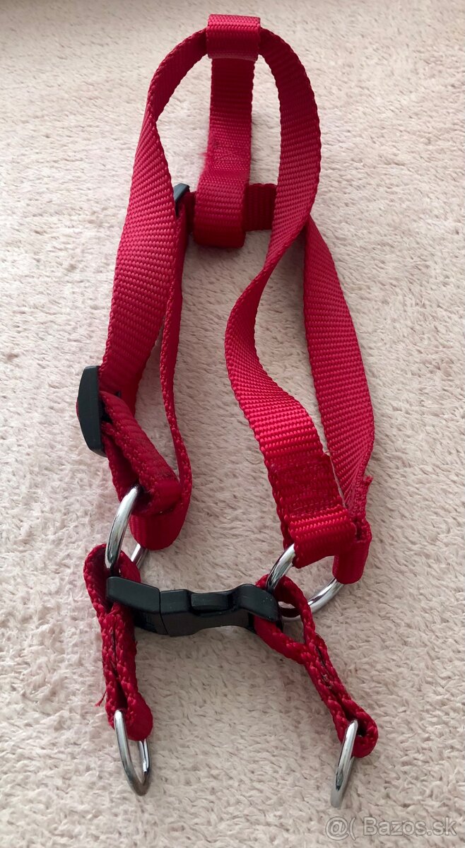 Matrac, vôdzka, hračky pre psa - 5