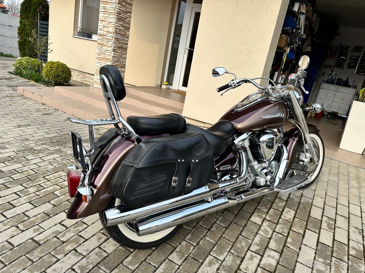 Xv 1600 wild star - 5