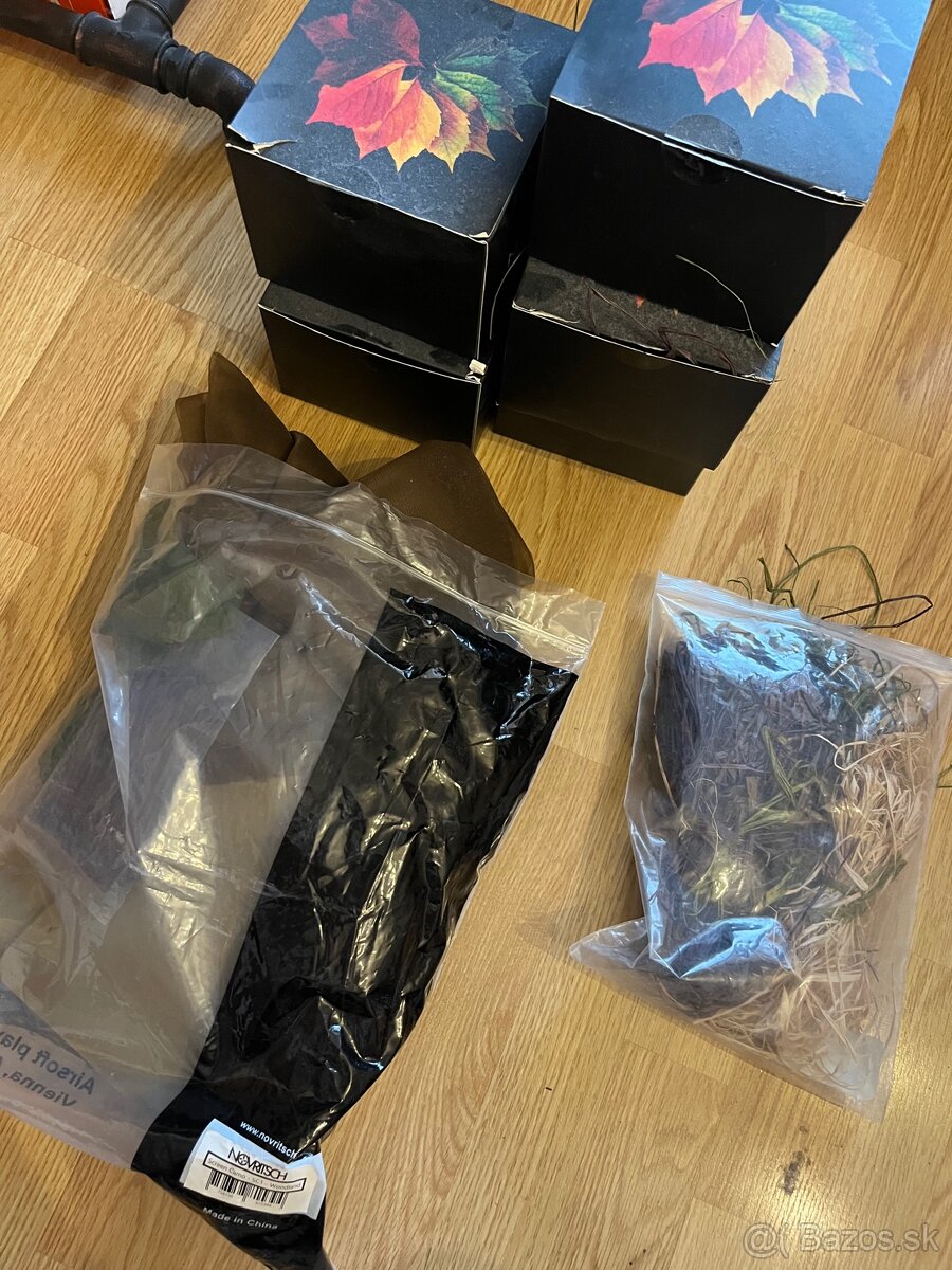 Ghile / leaf suit - 5