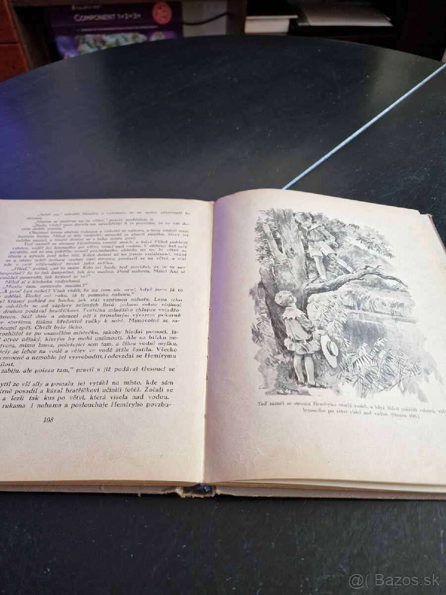 Nepochopen od Flor. Montgomeryová - 5