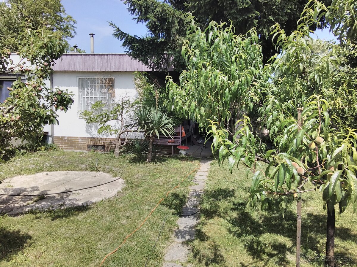 Záhrada v Ružinove - 5