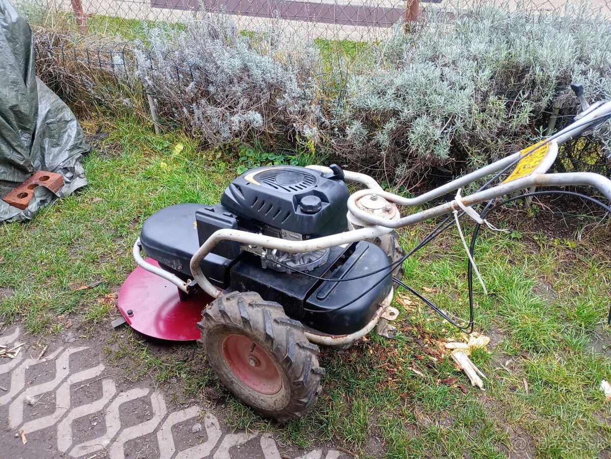 Dakr bubnova kosacka - 5