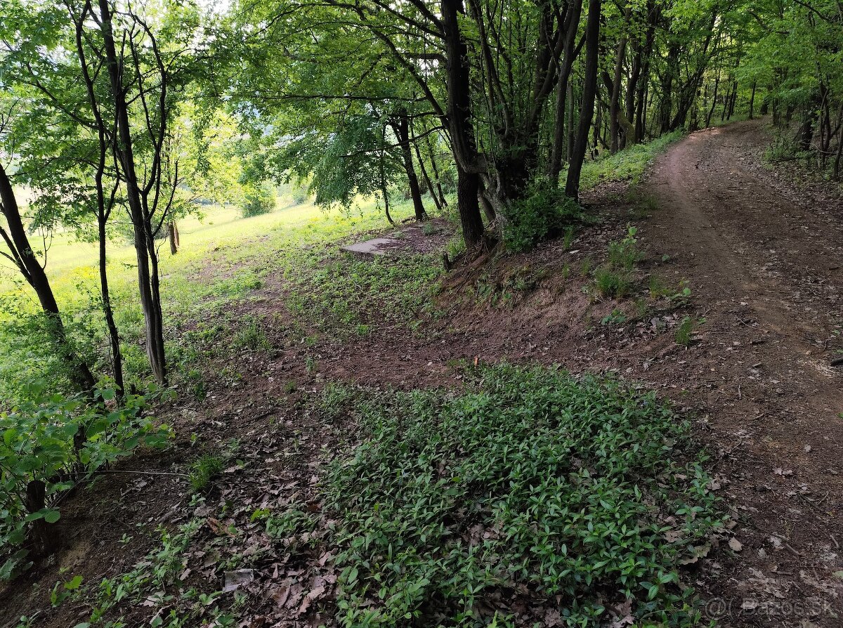 Predám pozemok v k.ú. Dolná Súča 1482m2 - 5