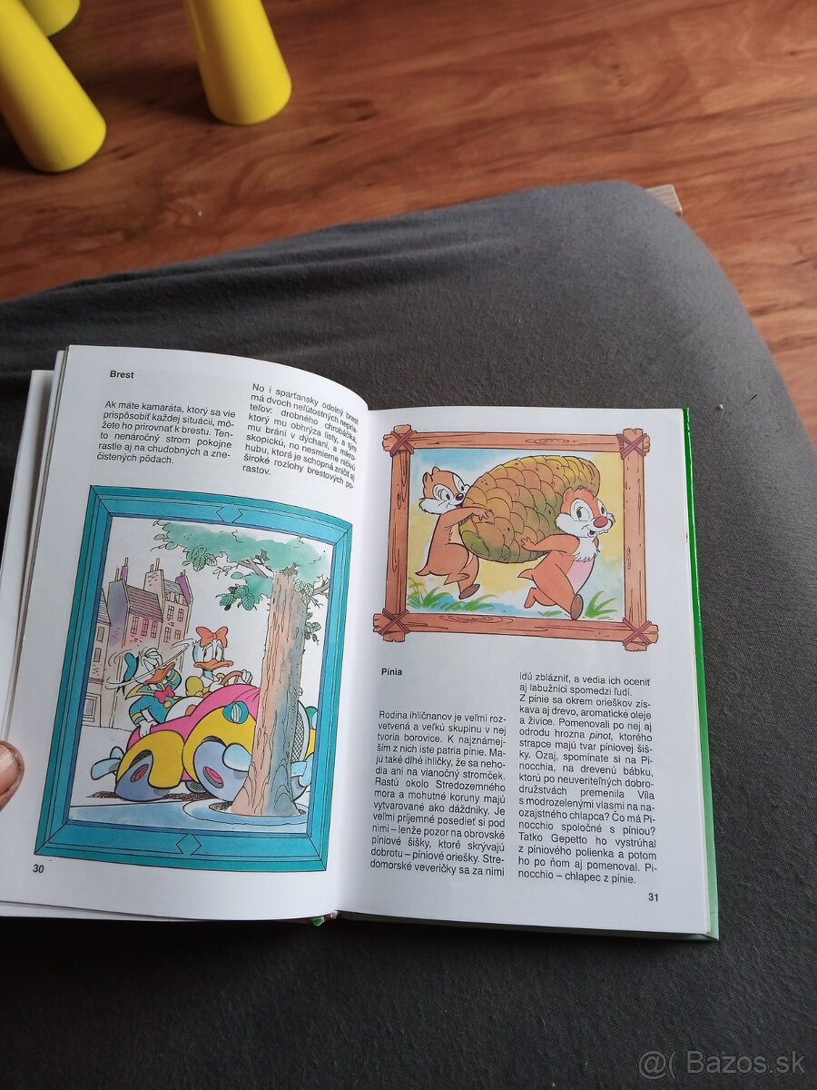 Príručka mladých svistou 5.Kacer Donald.Ducktales. - 5