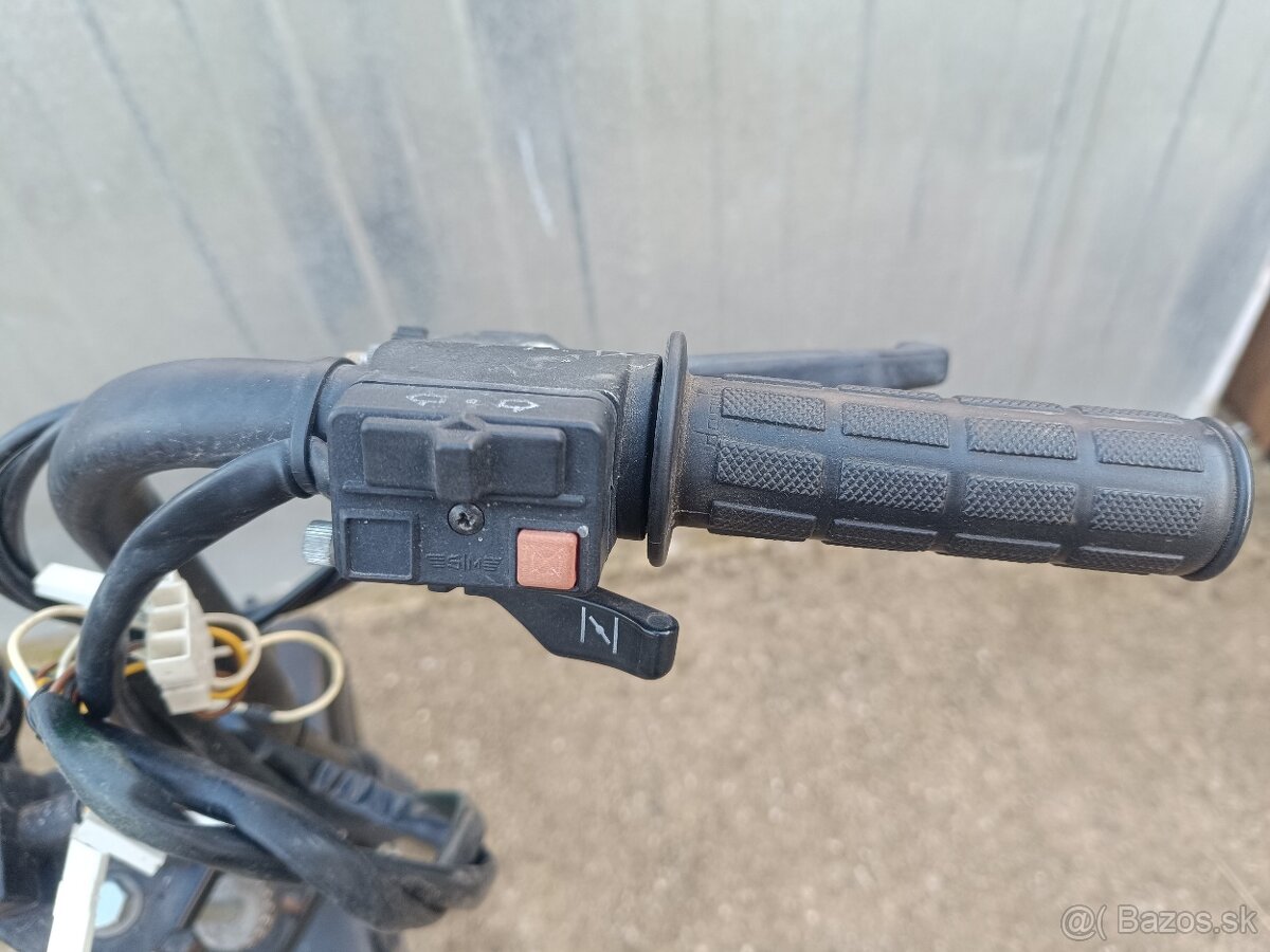 Predok manet Korado - 5