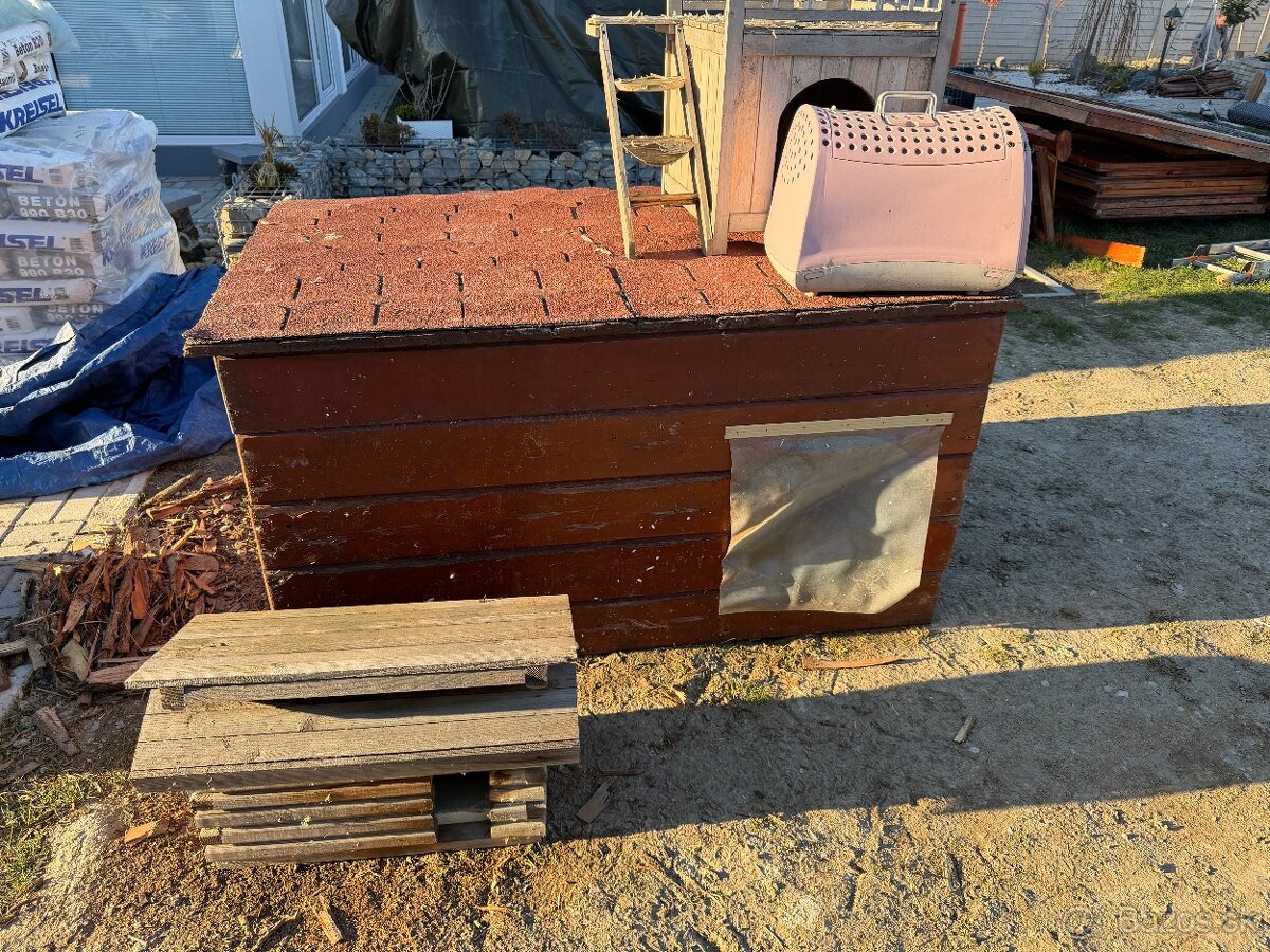 Buda pre psa, macku - 5