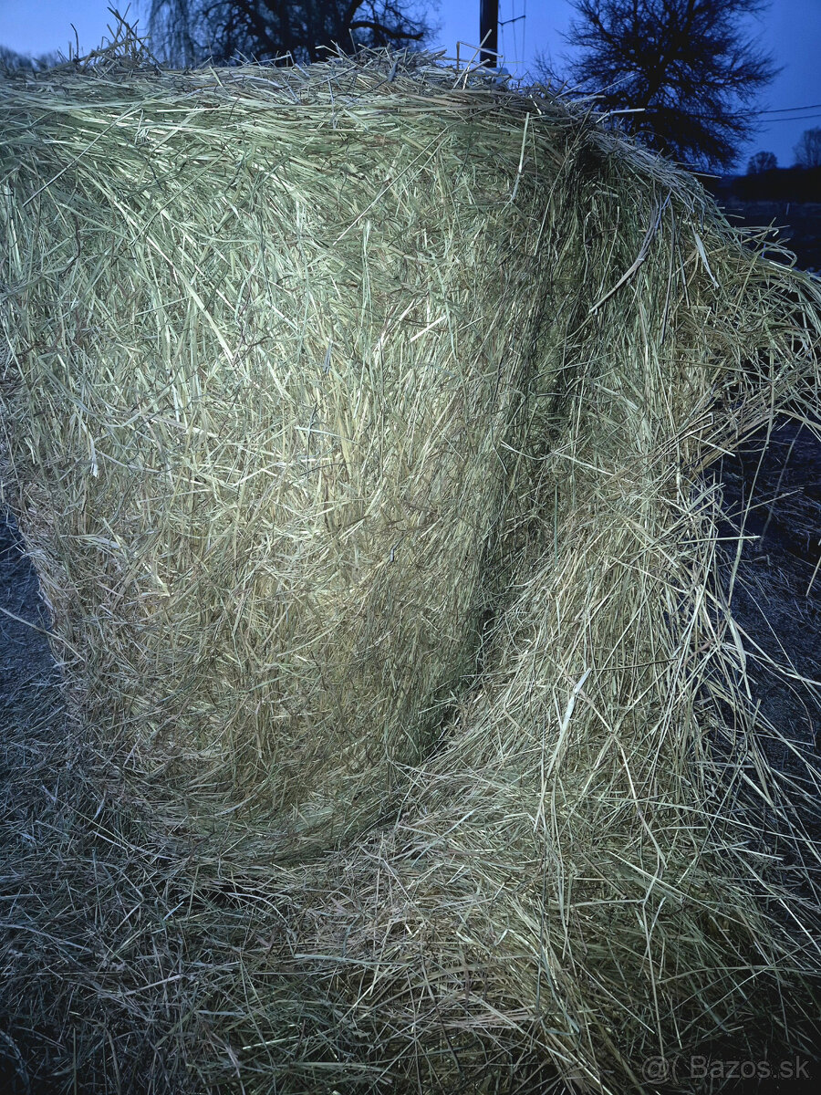 seno okrúhle balíky 130x130 - 5