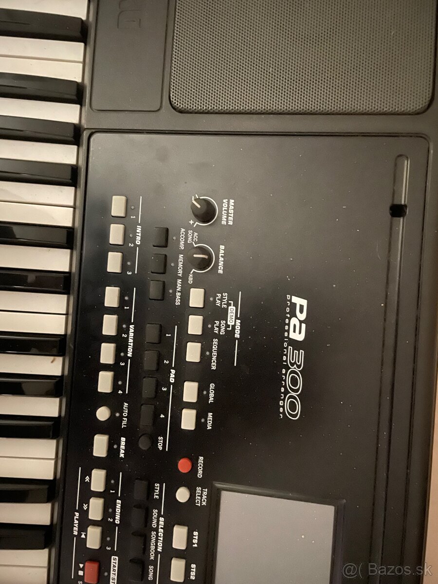 Korg PA 300 - 5