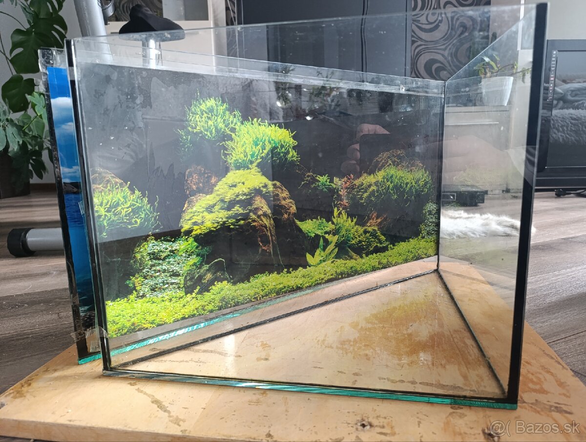 Akvária - 5