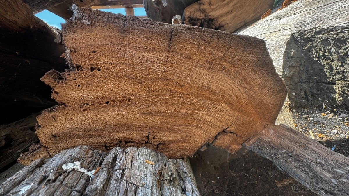 Dubové ručne kresané hranoly z drevenice - 5