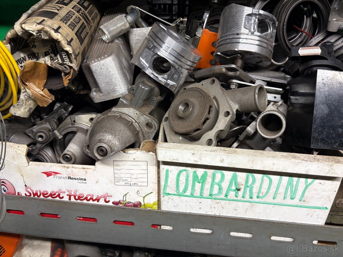 Lombardini diely - 5