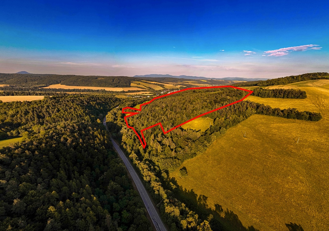 Rokycany – 250.000 m2 LESNÝ REKREAČNÝ POZEMOK v 1/1 pri PO - 5
