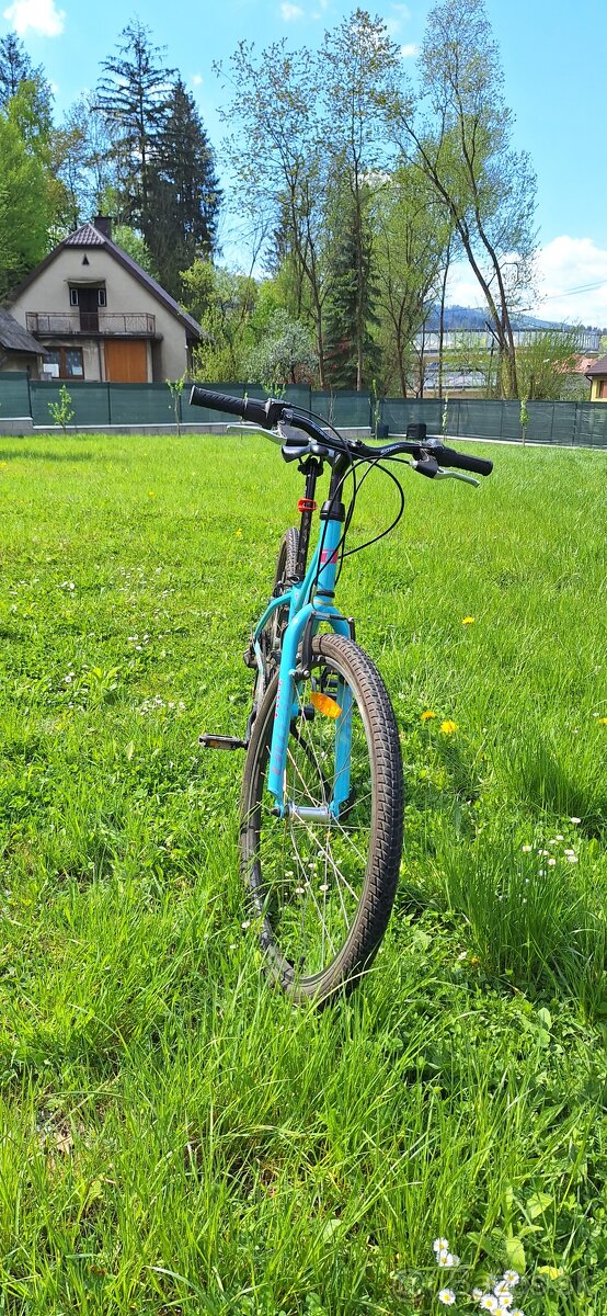 Vitta bicykel junior 26 - 5