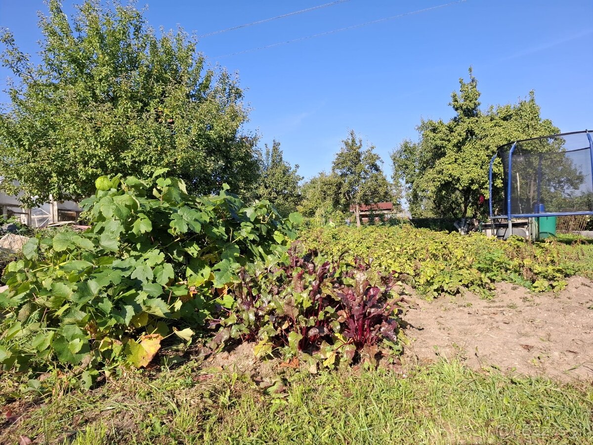 Záhrada sídl. Mier, Sp. Nová Ves - 5