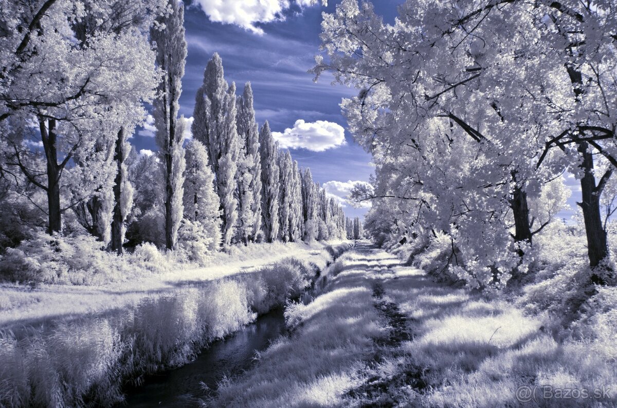 Olympus E-M1 - po IR konverzii 720 nm - 5