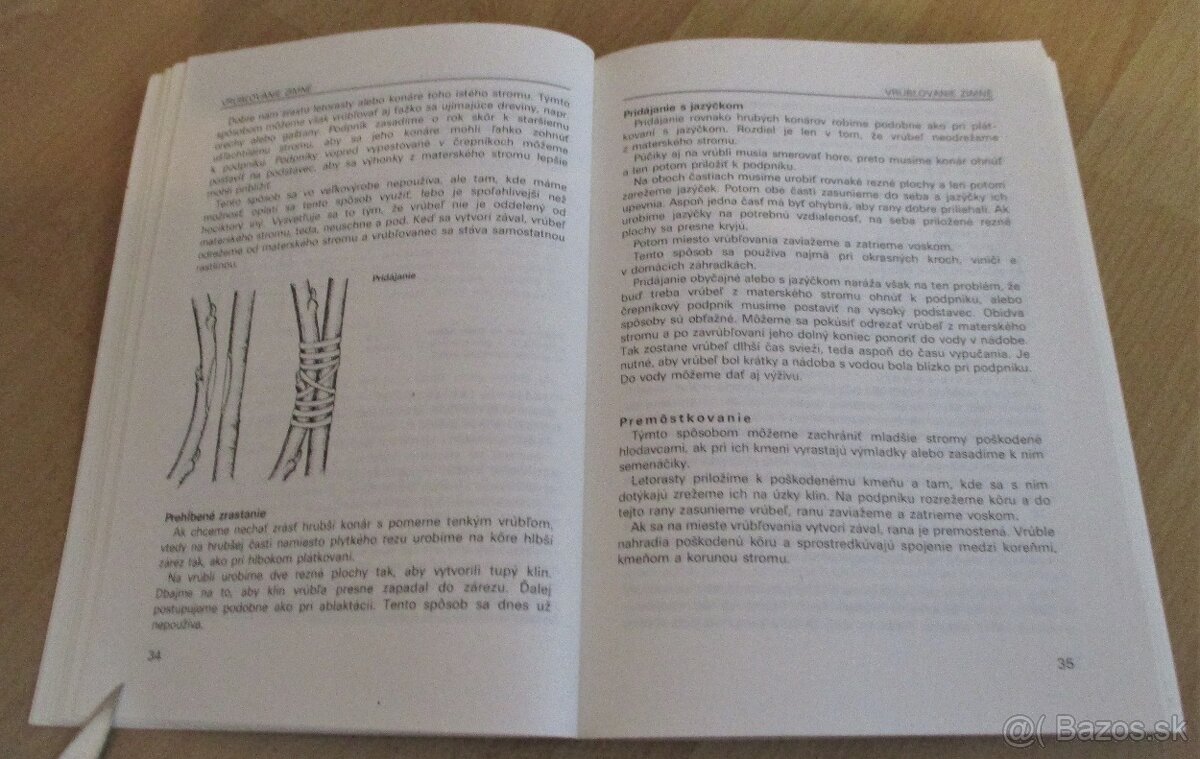 Vrúbľovanie, očkovanie, rozmnožovanie - 5