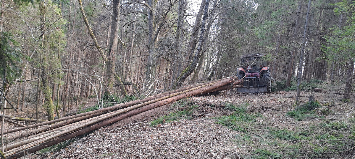 Tažba dreva - 5