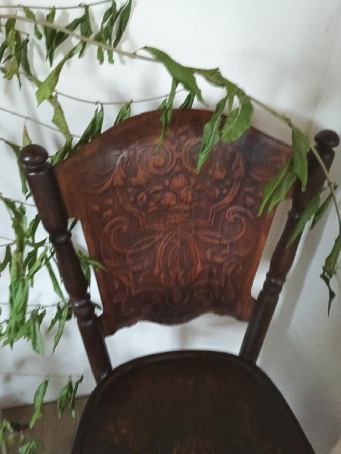 stoličky thonet 2 kusy 1890 - 5