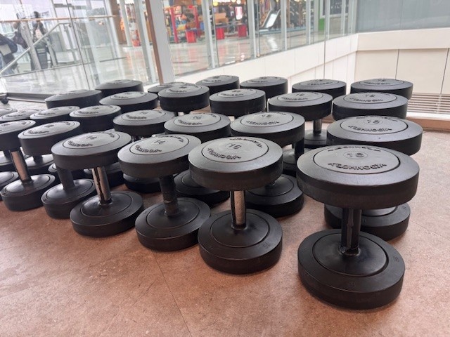 Predám polyuretánové jednoručky TECHNOGYM - 5