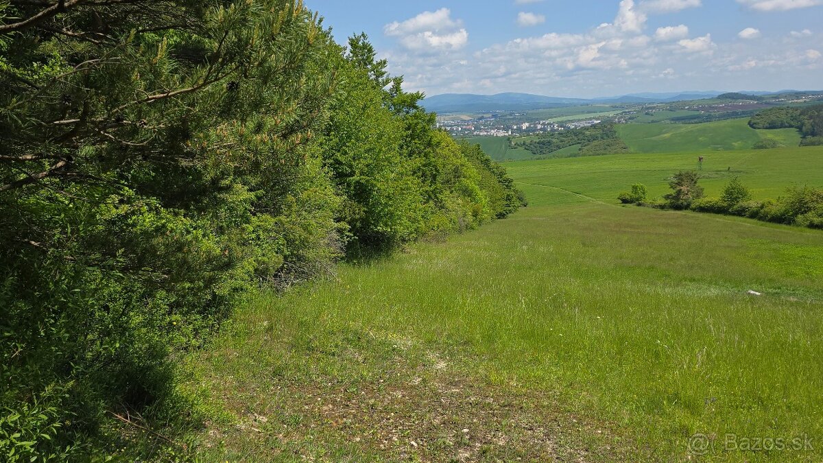 Predám lesný pozemok k.ú. Turá Lúka 4061m2 - po 0,73€/m2 - 5