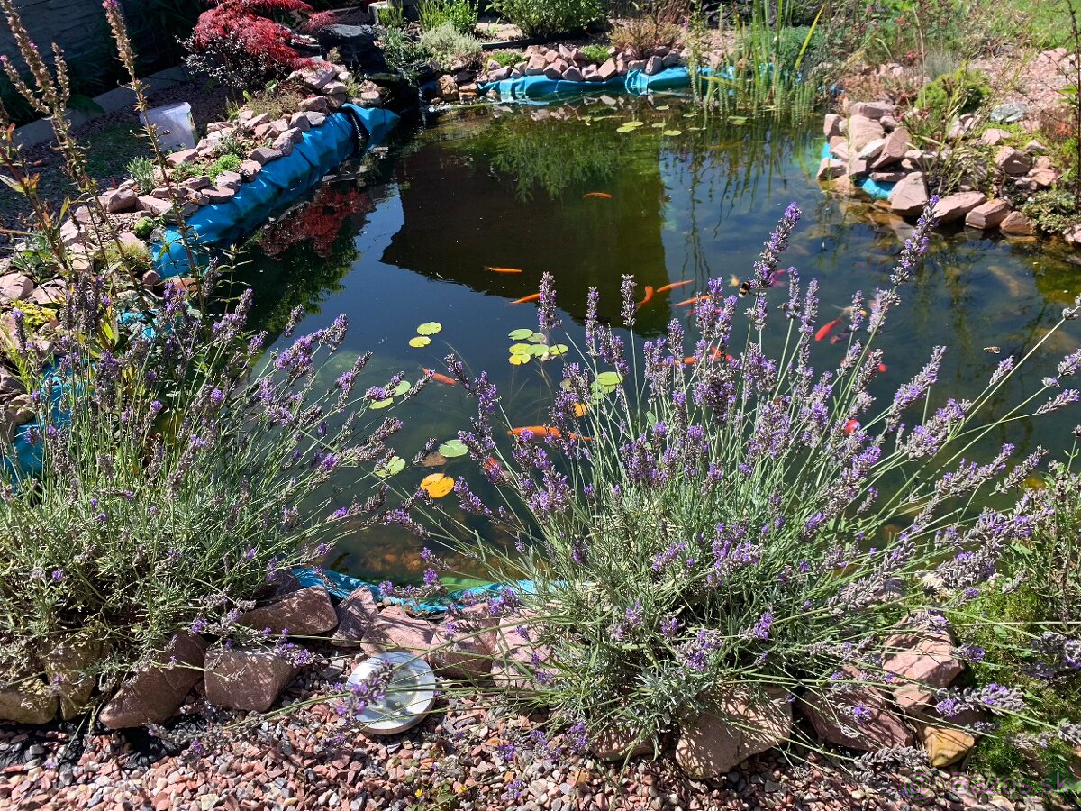 Rodinný dom s veľkorysou záhradou a parkovaním - 5