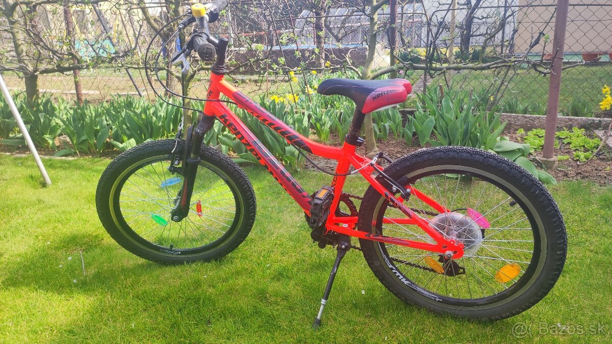 Kenzel roxis "20 - 5