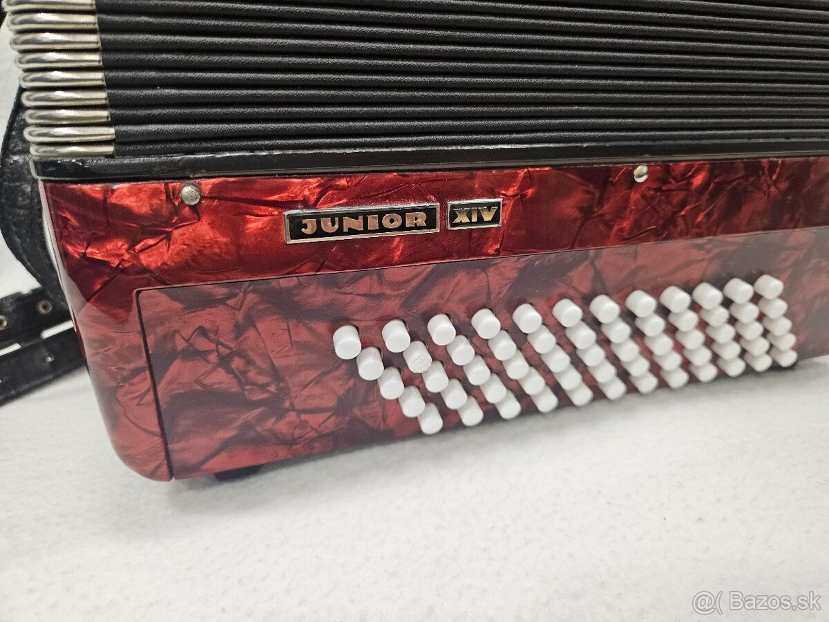 Akordeon delicia junior 60 basovy - 5