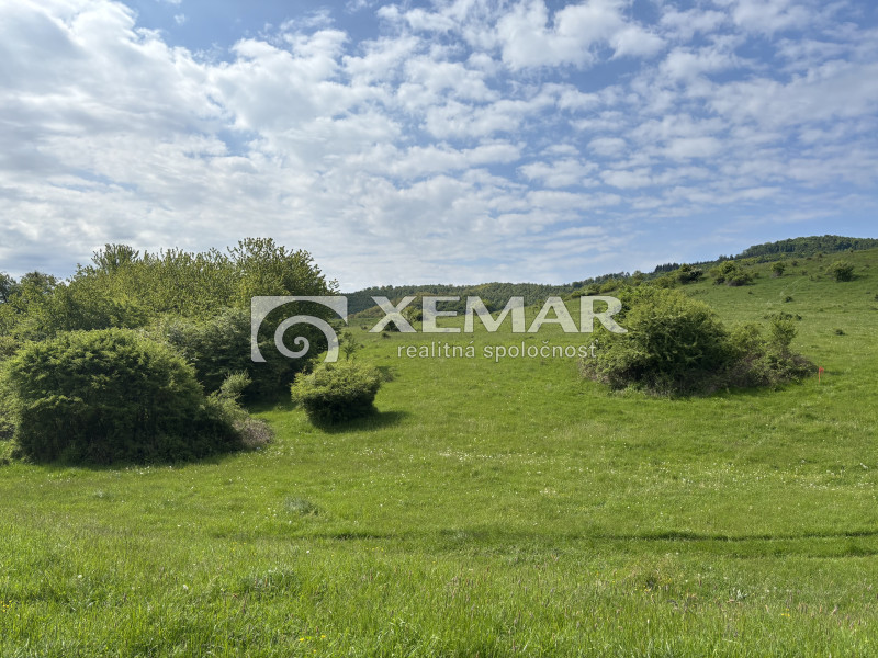 Predaj jedinečný pozemok v obci Ilija – Banská Štiavnica - 5