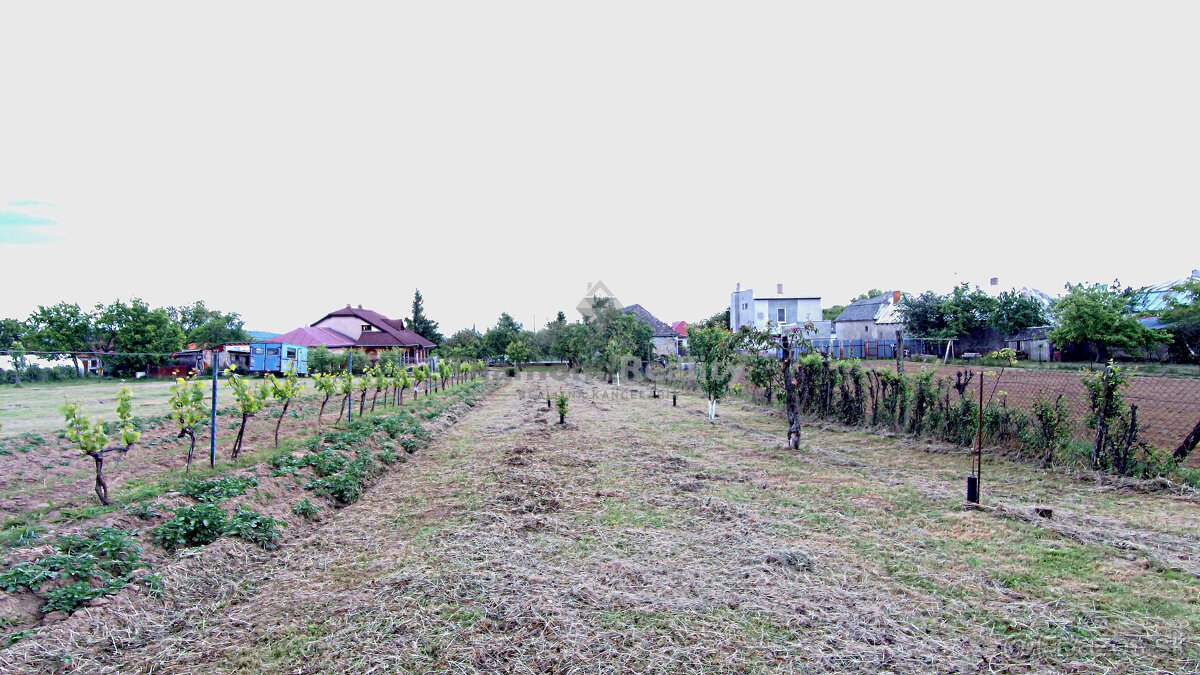 Rovinatý a slnečný pozemok v pokojnej obci Kašov - 5