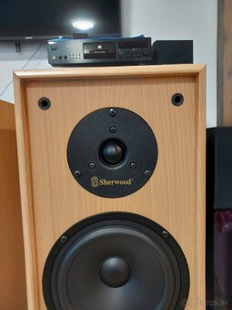 Sherwood SP-3000 - 5