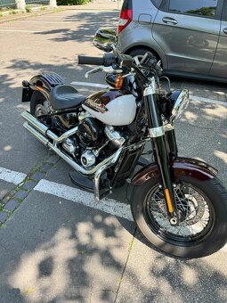 Harley Davidson Softail Slim FLSL Jekill & Hyde - 5