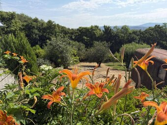 Pozemok pripravený na výstavbu rekreačnej chaty - 5