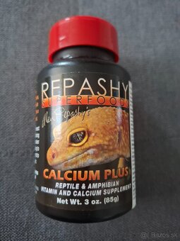 Terárium 60x45x45 - 5