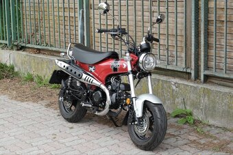 Honda Dax 125 - 5