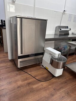 Predaj zabehnutej prevadzky( výroba mrazených polotovarov) - 5