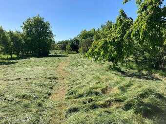 Stavebná parcela v obci Somotor - 5