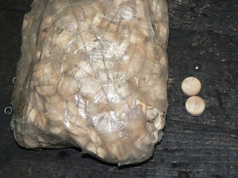 Veci pre stolárov. - 5