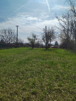 Pozemok v srdci vinárskej obci Moča, KN Lepšia cena - 5