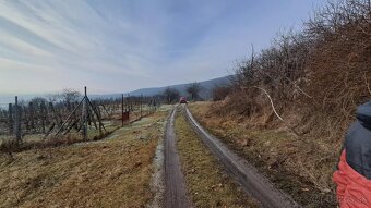 pozemok vinohrad Hrušov - 5