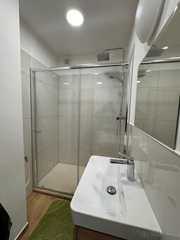 1 izbový tehlový byt po kompletnej rekonštrukcii na prenájom - 5