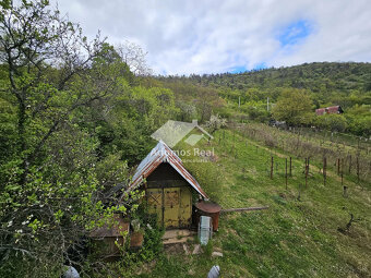 CHATA SO ZÁHRADOU-HRUŠOV - 5
