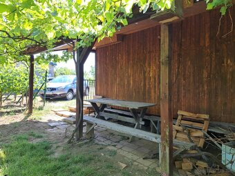 Predáme hajloch viničná chatka s krásnym vinohradom Maňa - 5