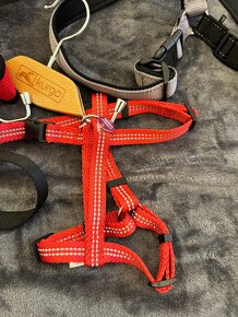 Nove Postroje LMSzadarmo vesiak Kurgo - 5