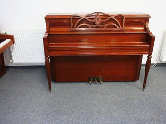 nádherné americké piano za Super cenu s All inclusive - 5