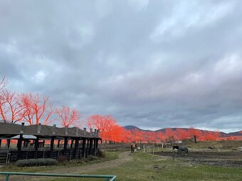 Hľadáme stajníka/stajníčku - 5