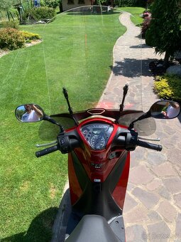 HONDA SH 125 - 5