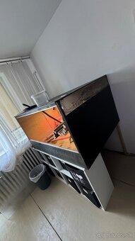 Terarium pre agamy a iné - 5